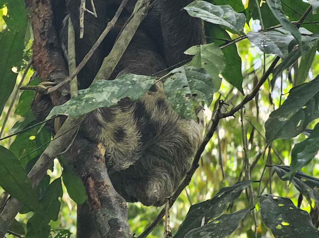 Amazonian Eco Adventure景点图片
