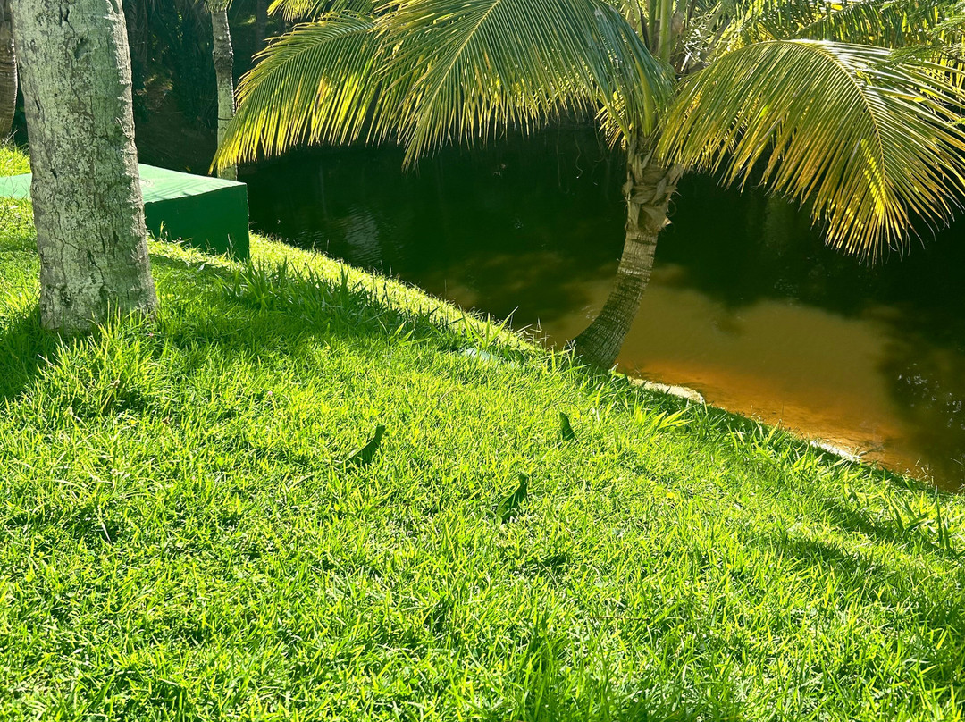 Hotel Deville Prime Salvador主图