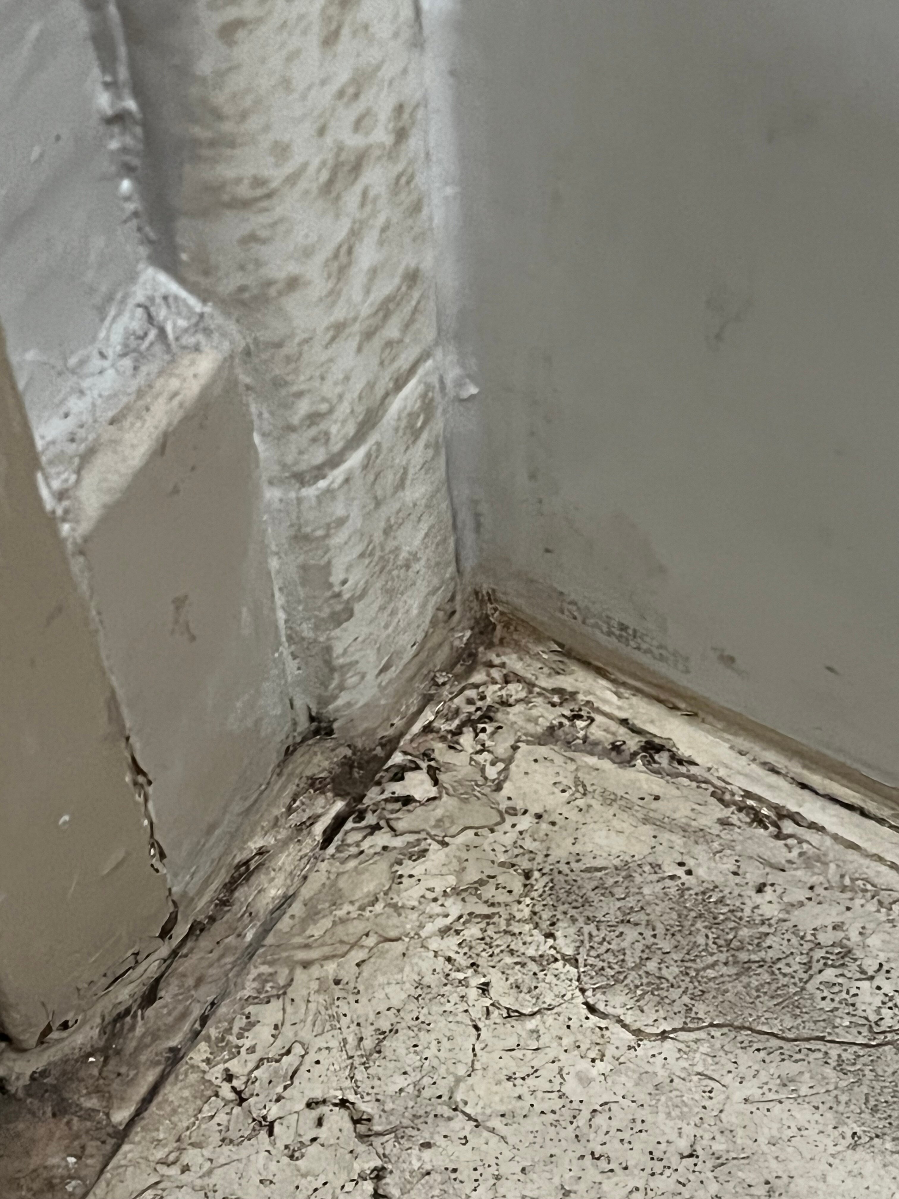 贝斯特韦斯特普勒斯山景旅馆-浴室