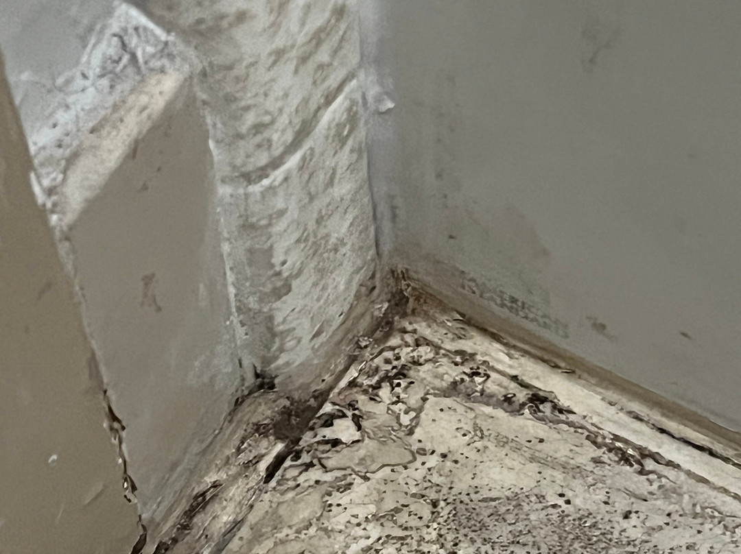 贝斯特韦斯特普勒斯山景旅馆主图