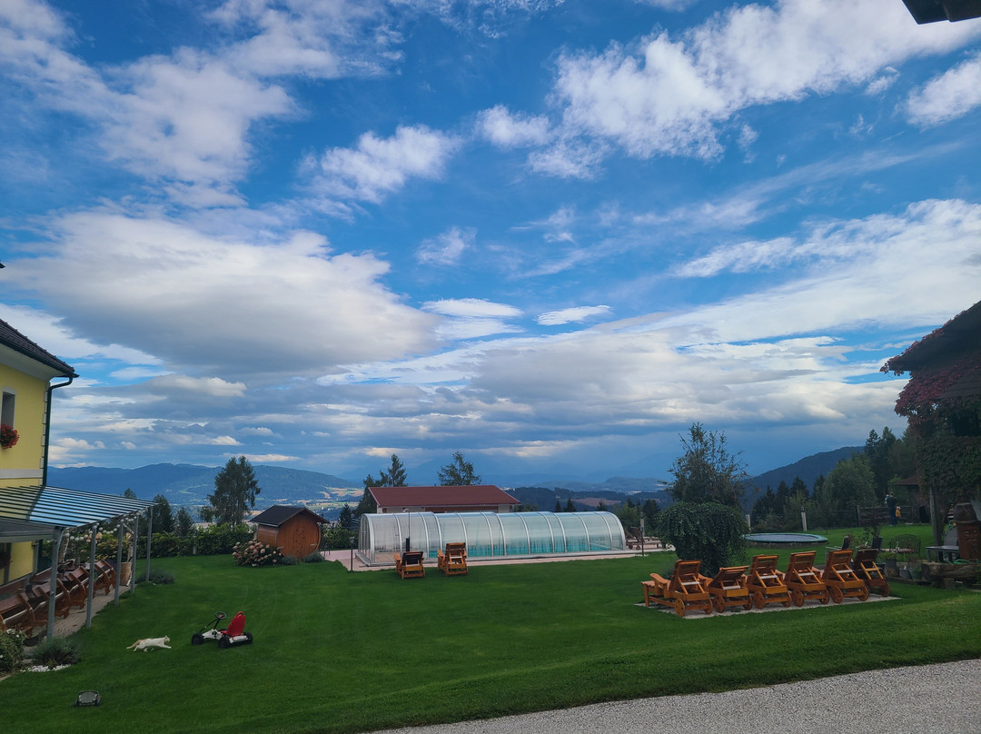 Erlebnisbauernhof Steinerhof In Kärnten主图