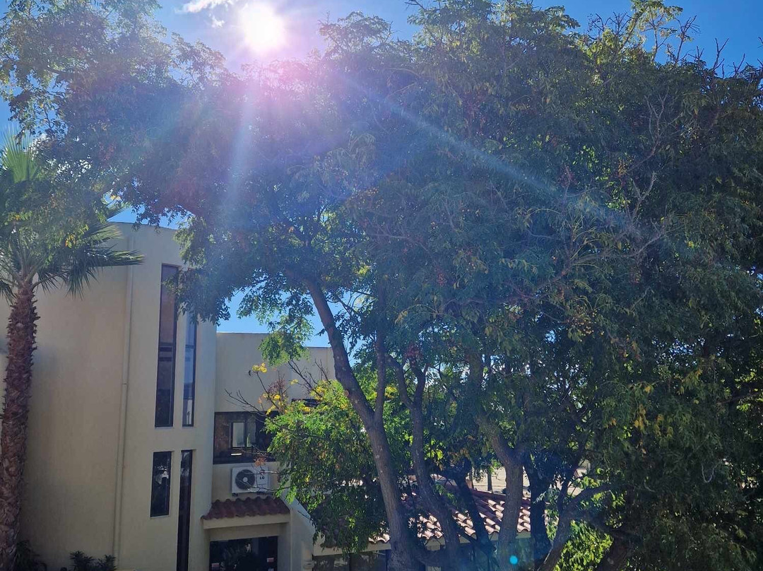 Praia da Lota Resort主图