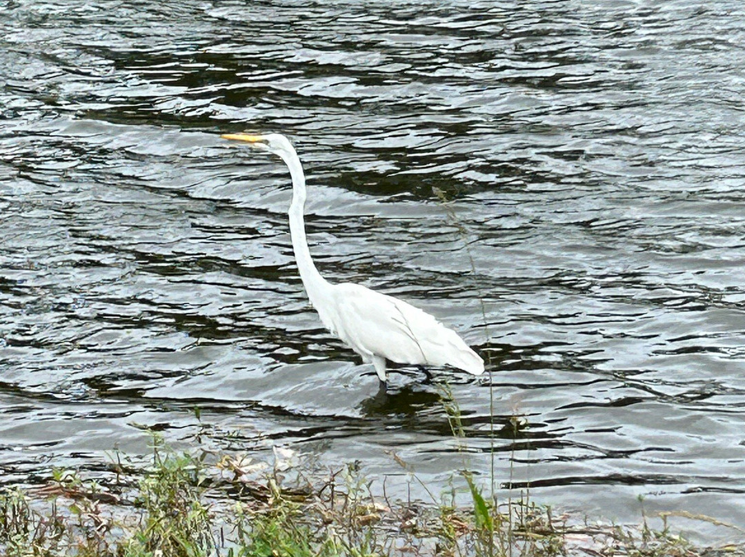 George Fazio Golf Course-希尔顿头岛必去景点