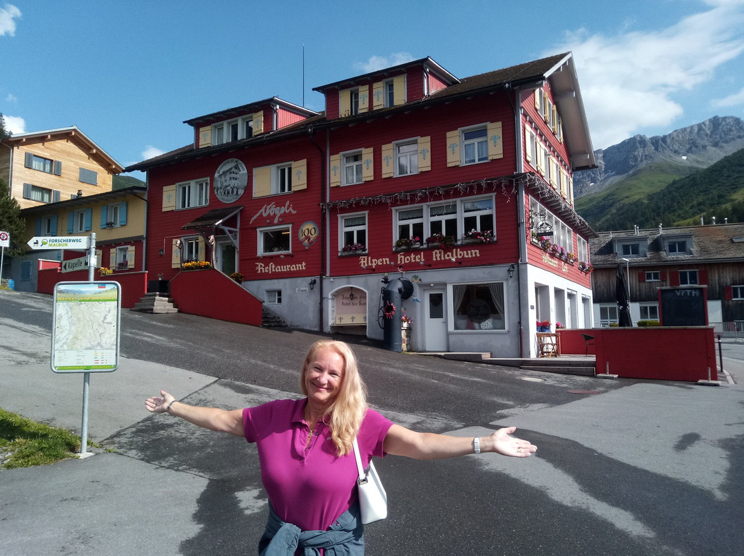 Alpenhotel Malbun主图