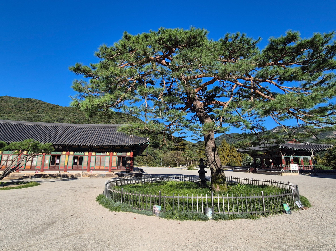 Wibongsa-完州郡必去景点