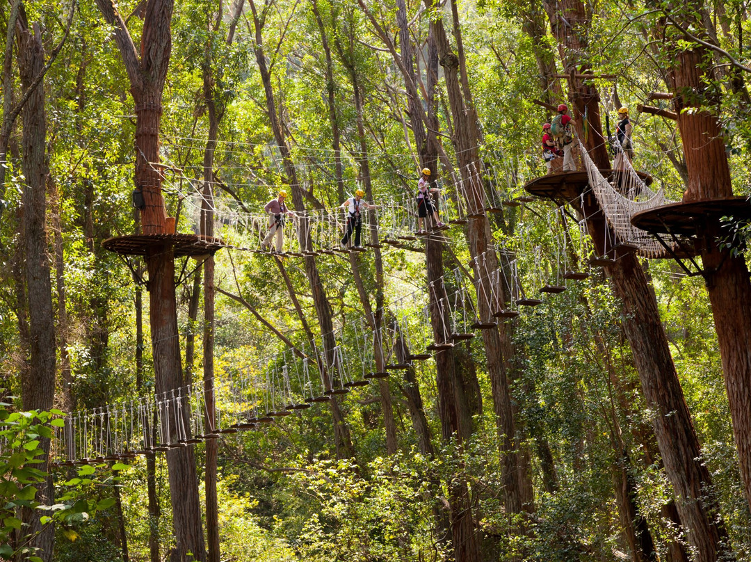 Kohala Zipline-哈威必去景点