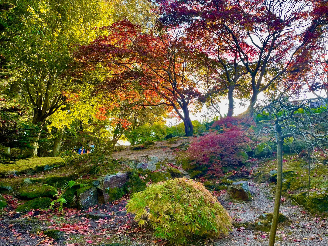 Johnston Gardens-阿伯丁必去景点