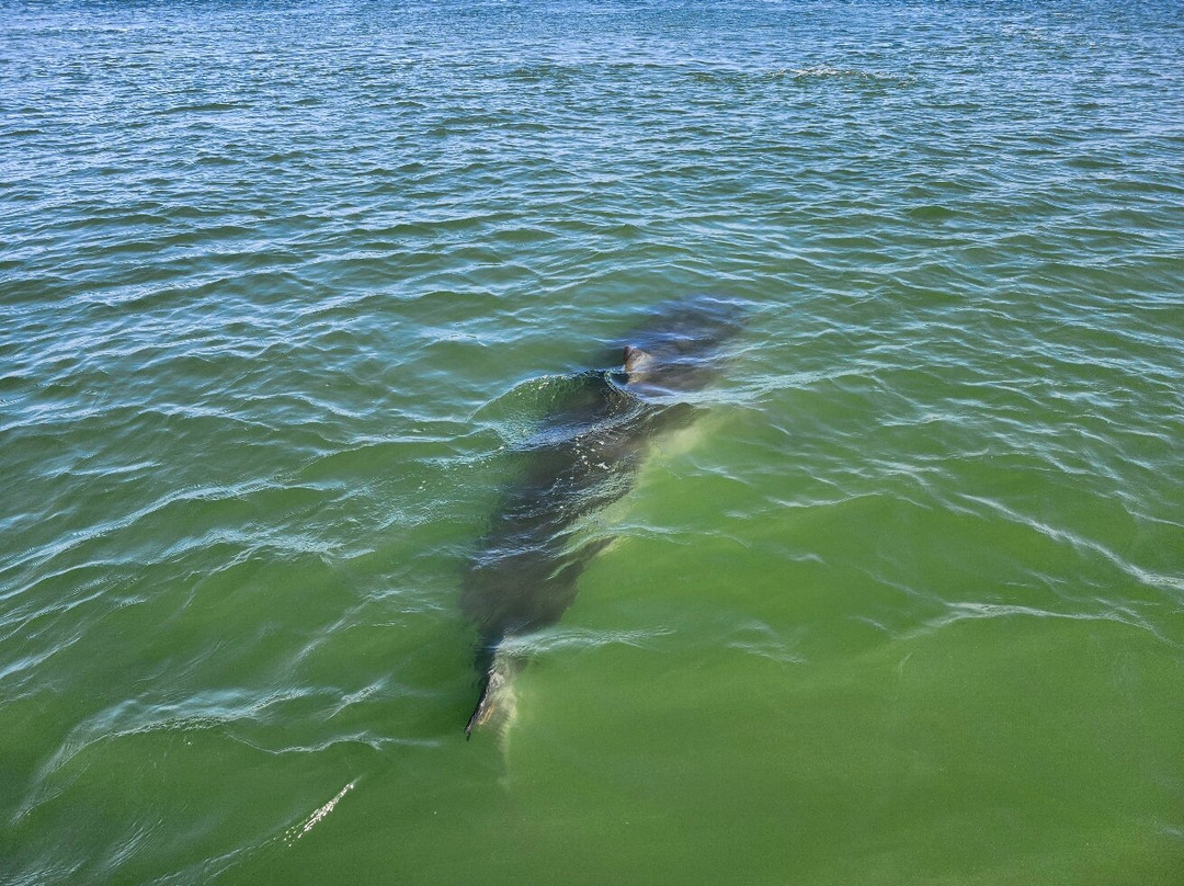 Monomoy Sportfishing-查塔姆必去景点
