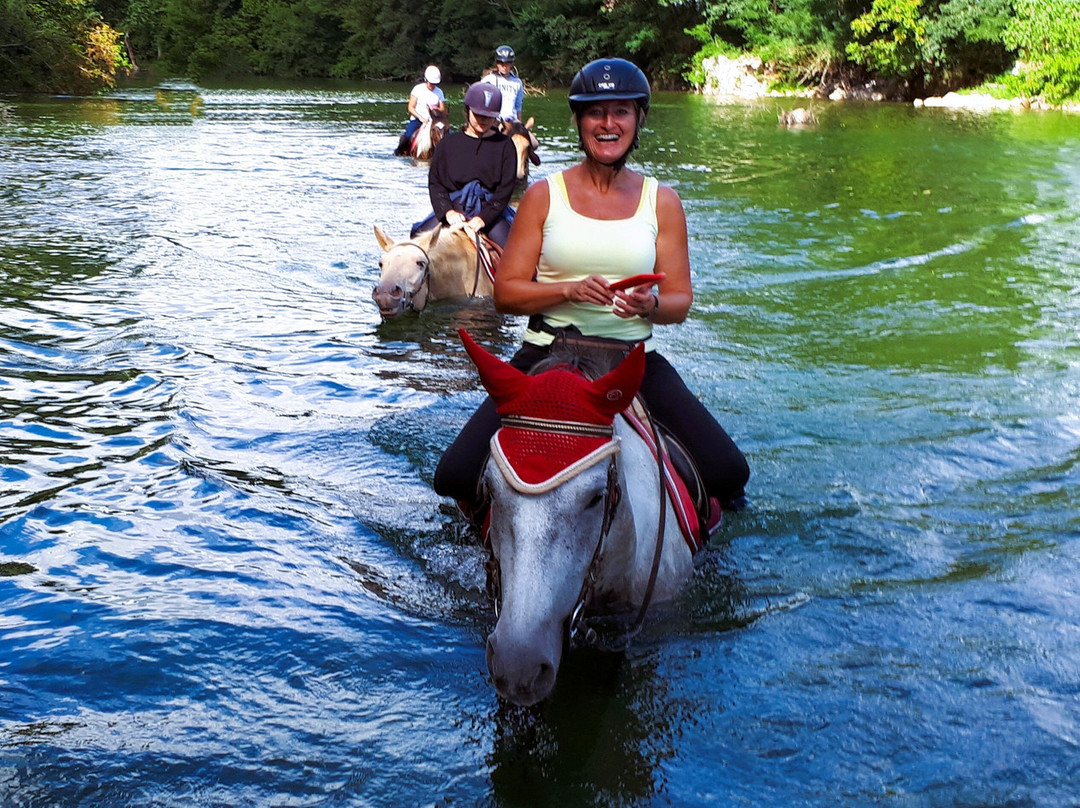 Equitation Chavetourte-Saint-Alban-Auriolles必去景点