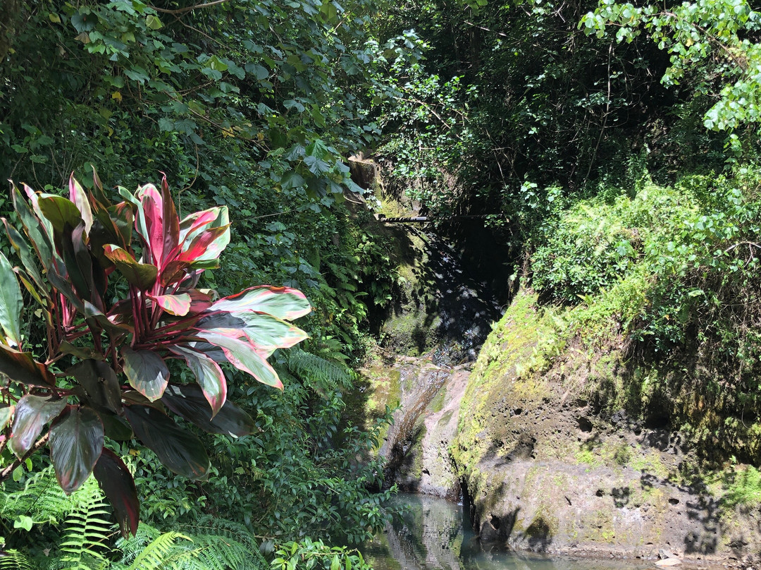 Raro Quad Tours-穆里必去景点