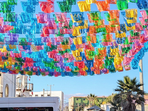 San Diego Baja Tours-圣地亚哥必去景点