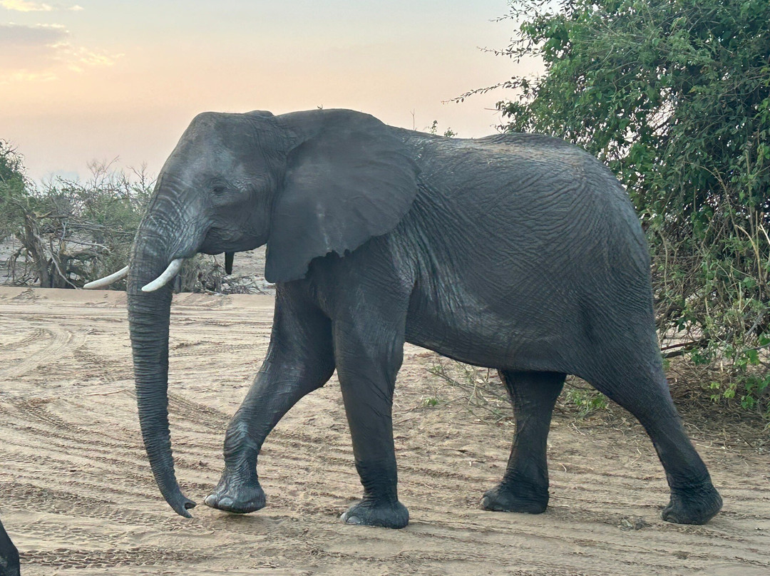 Chobe Day Trips景点图片