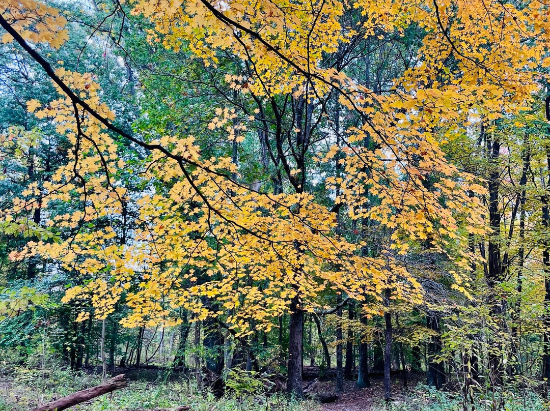 Cincinnati Nature Center-Milford必去景点
