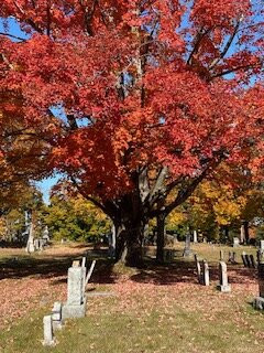 Pine Hill Cemetery景点图片