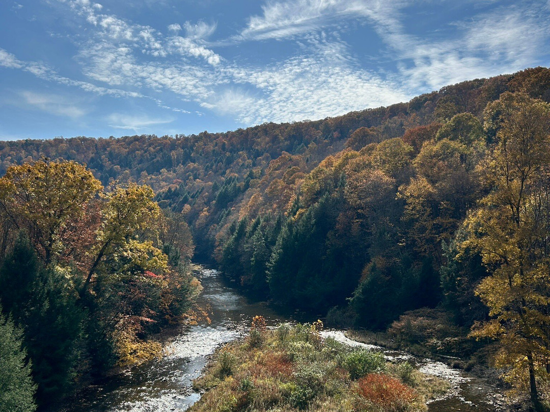 Foxburg Tours景点图片