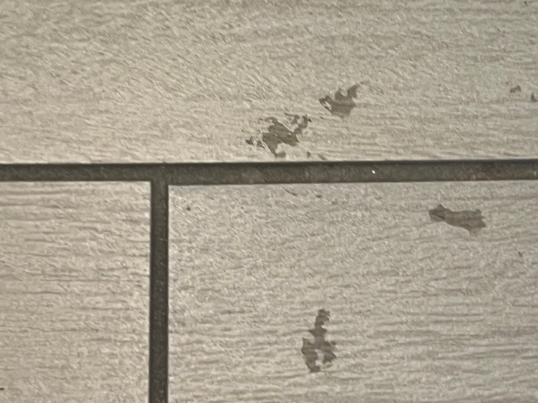 伯灵顿智选假日酒店主图