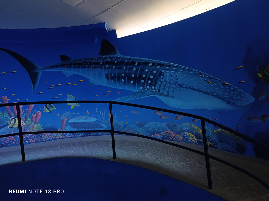 Almirante Paulo Moreira Oceanographic Museum景点图片