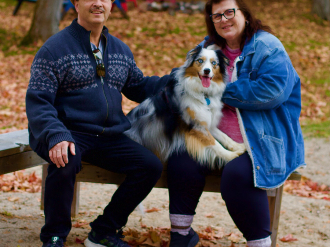 Lakepoint Cottage Resort主图