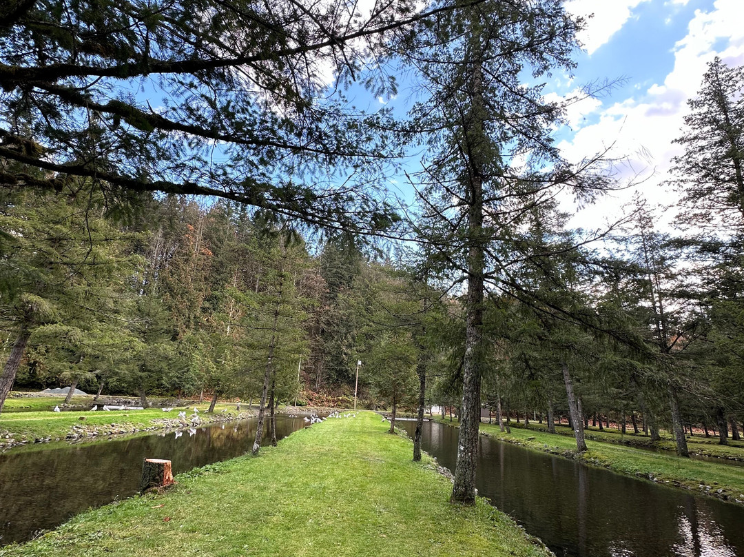 Weaver Creek Spawning Channel Recreation Site-阿加斯市必去景点