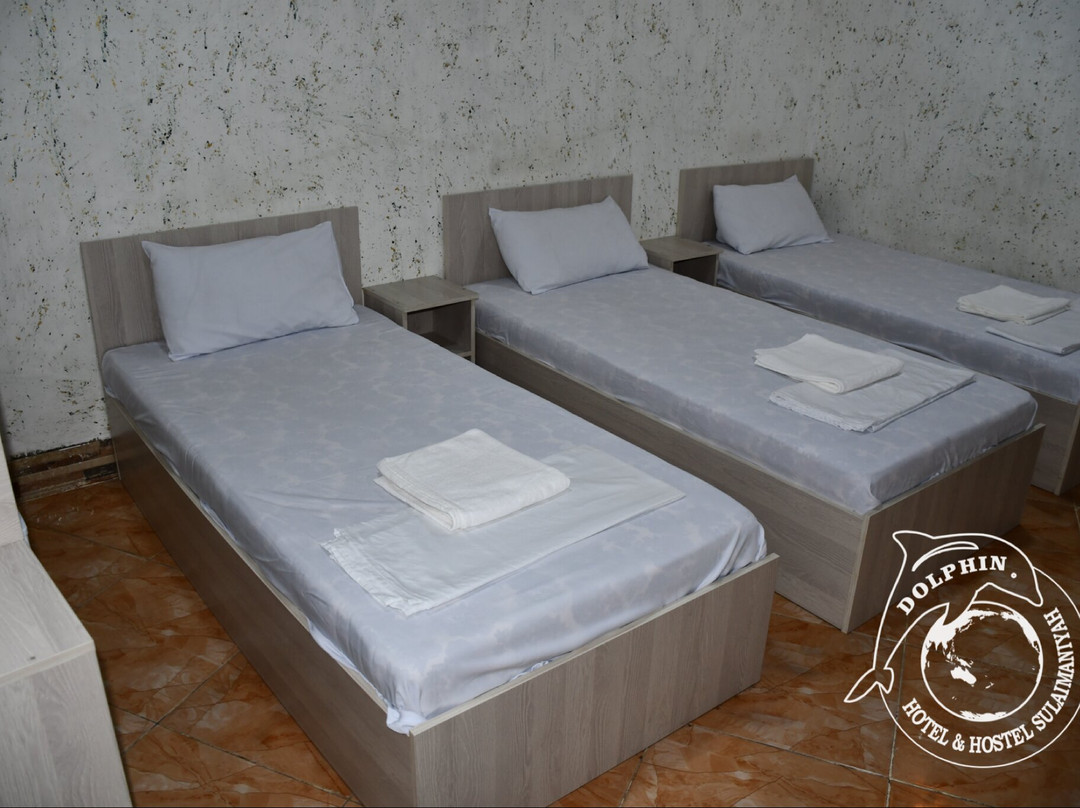 Dolphin Hotel & Hostel主图