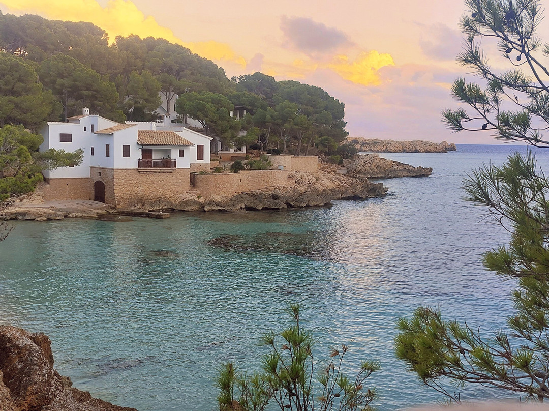 Cala Gat-Cala Ratjada必去景点