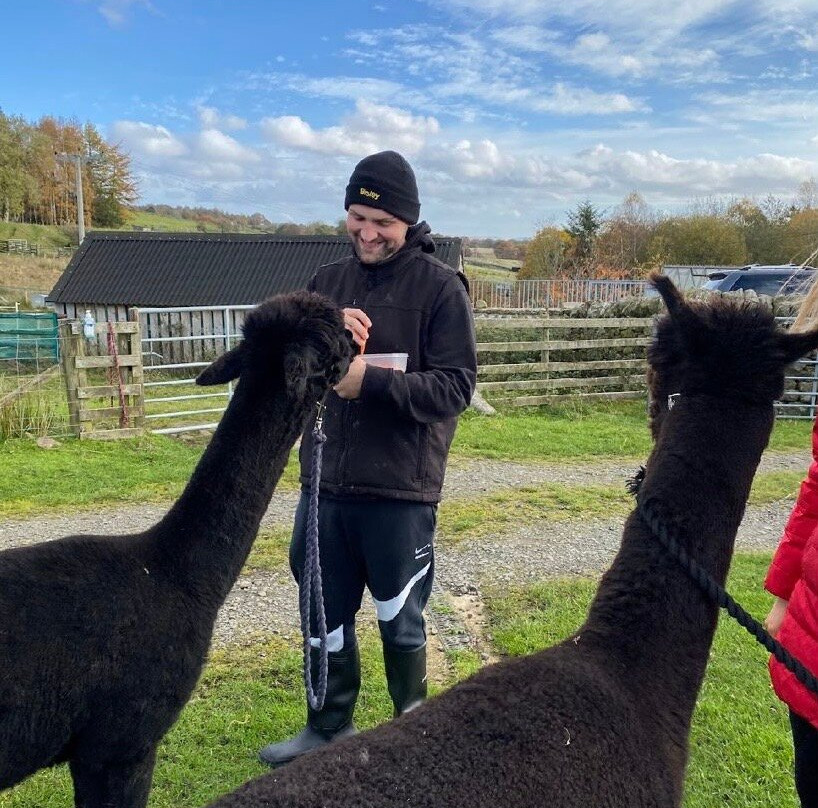 Ferny Rigg Alpacas-赫克瑟姆必去景点