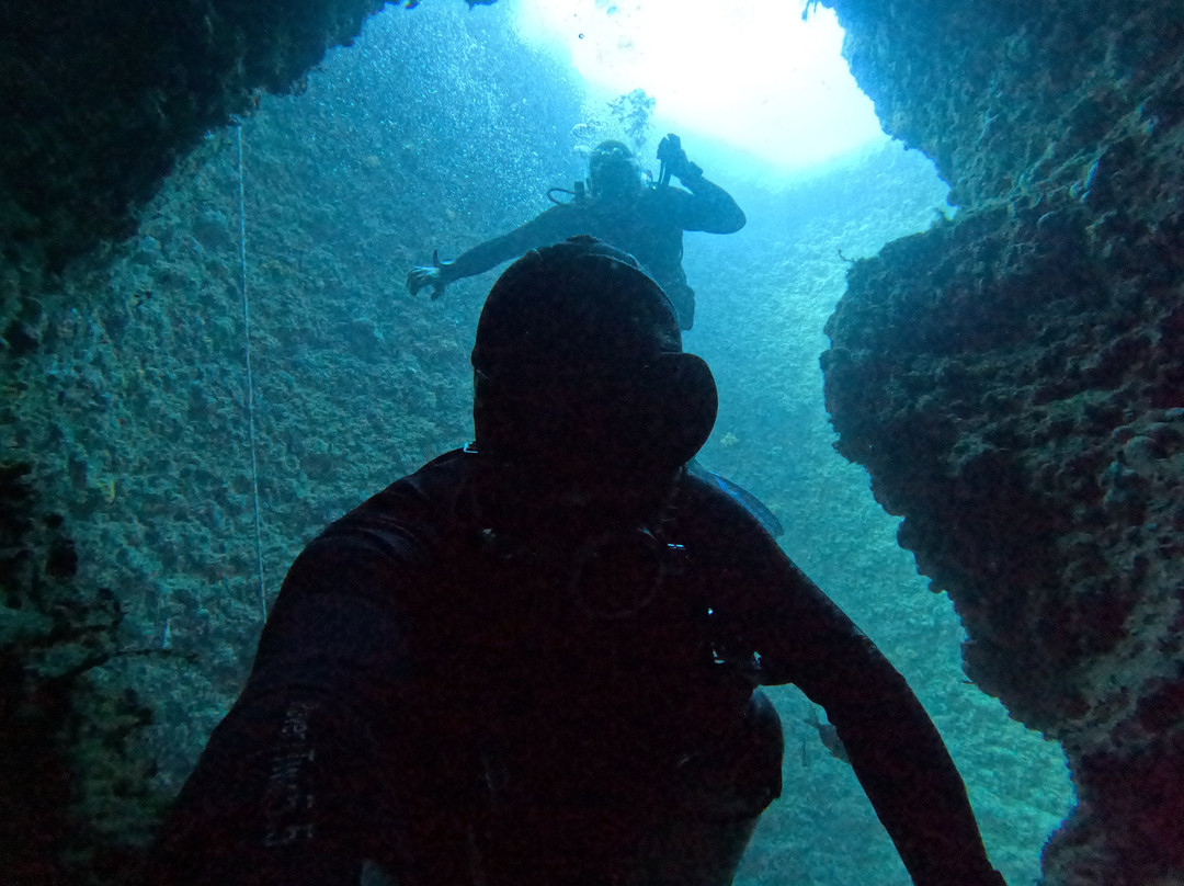 Dive With Me Athens-Artemida必去景点