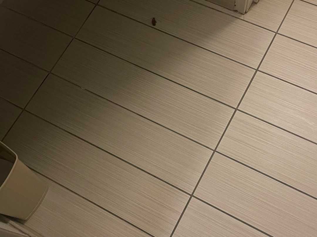 Courtyard by Marriott Dallas Mesquite主图