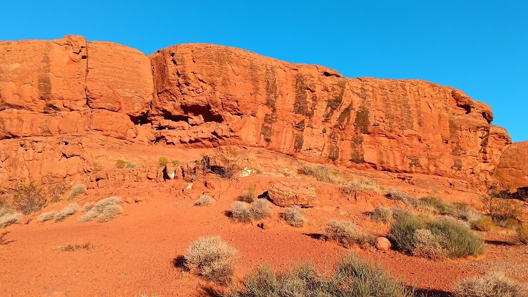 Pioneer Park-哈里肯必去景点