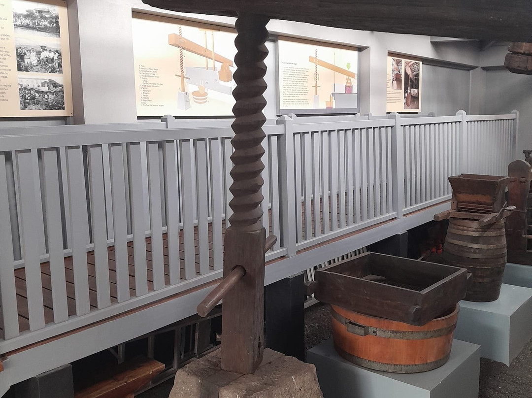 Pico Wine Museum-Pico必去景点