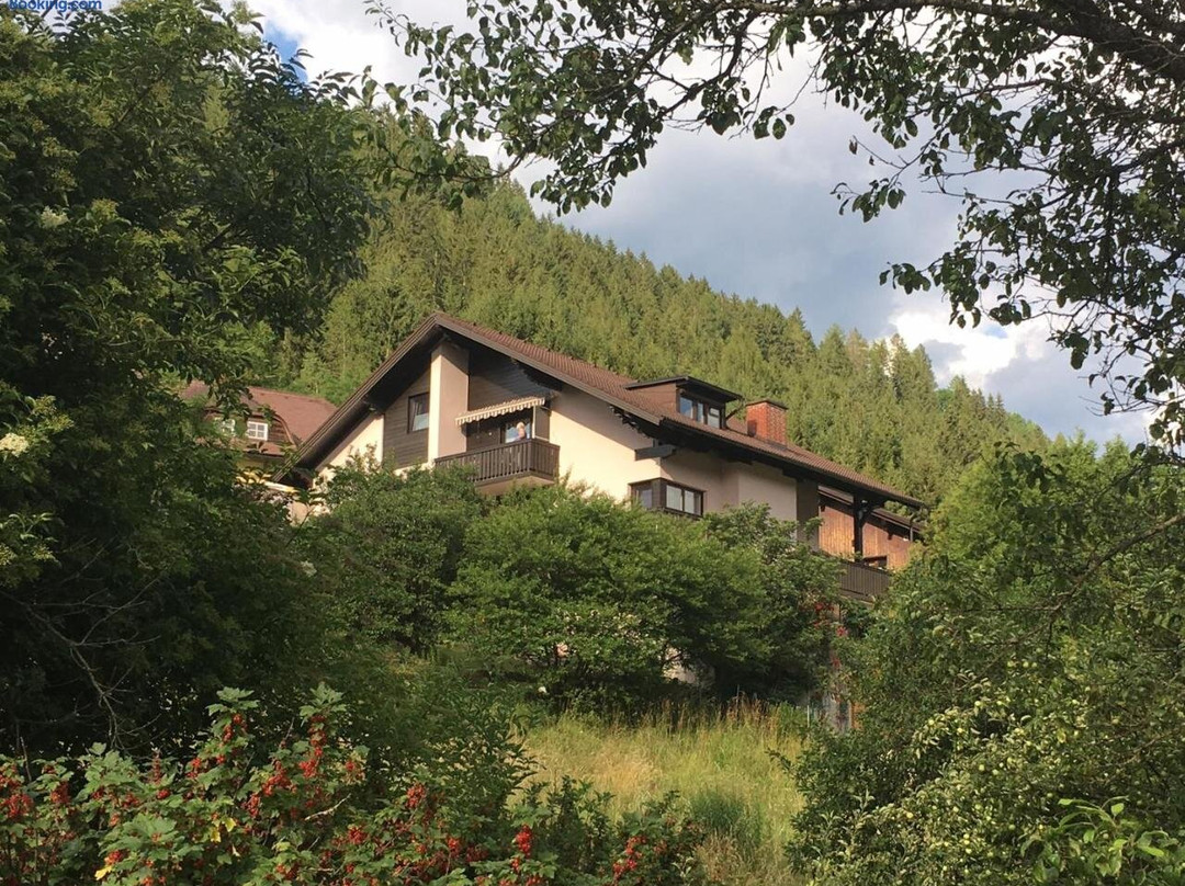 Haus Agnes, Murau