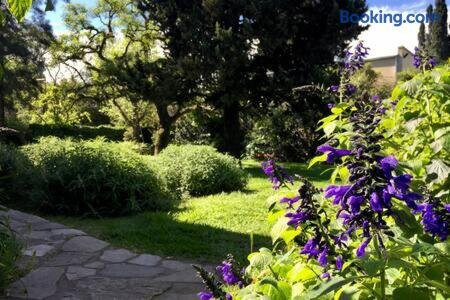 Room in house with large garden