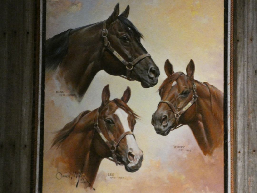 American Quarter Horse Hall of Fame & Museum-阿马里洛必去景点
