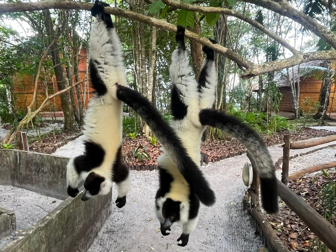 Teddy's Trails景点图片