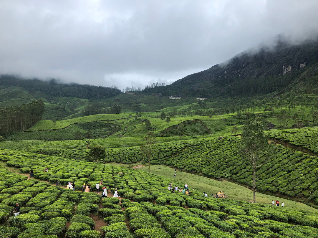 Lockhart Tea Tourism-Devikulam必去景点