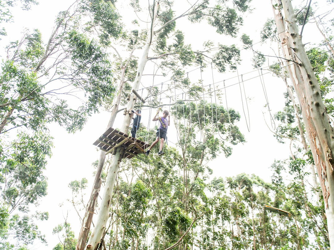 Sugar Rush Park-巴利托必去景点