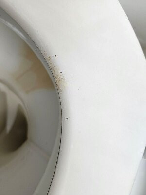 斯普林维尔罗德旅馆主图