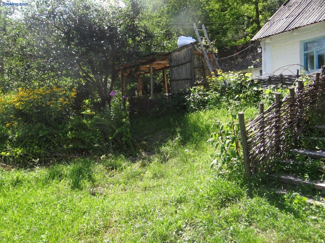 Maliovnytsya