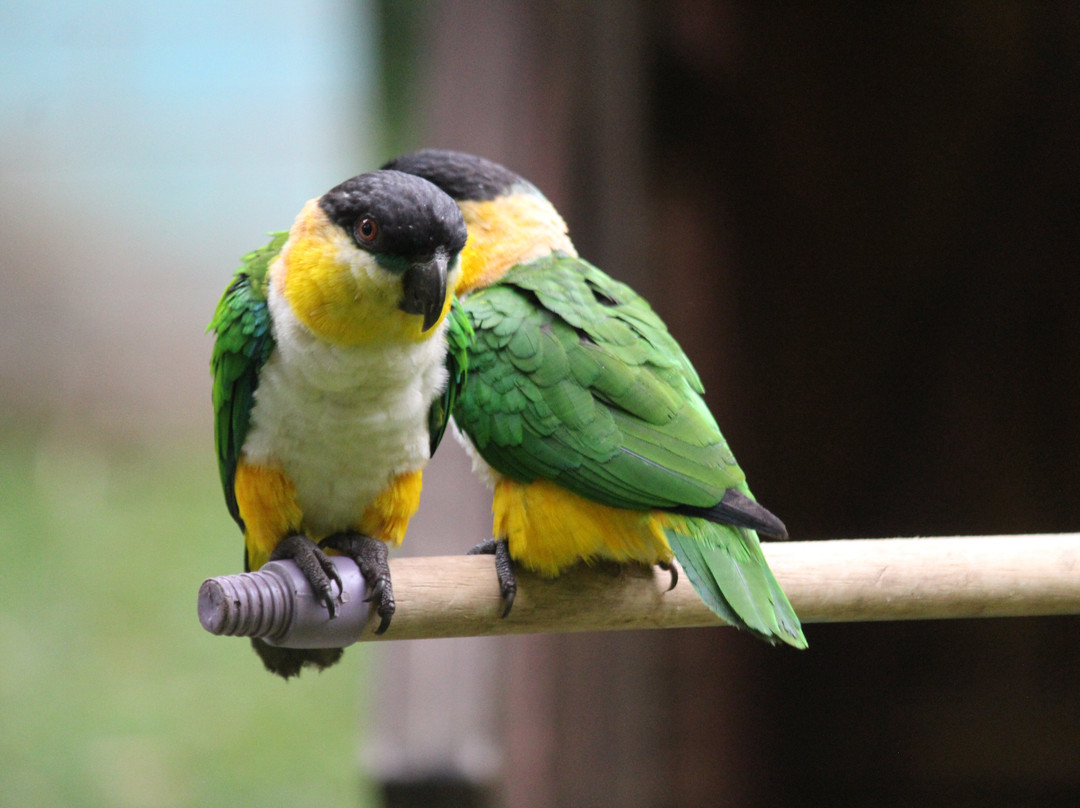 Oro y Luna Lodge主图