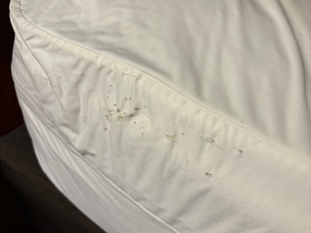 Hampton Inn Baltimore/owings Mills主图