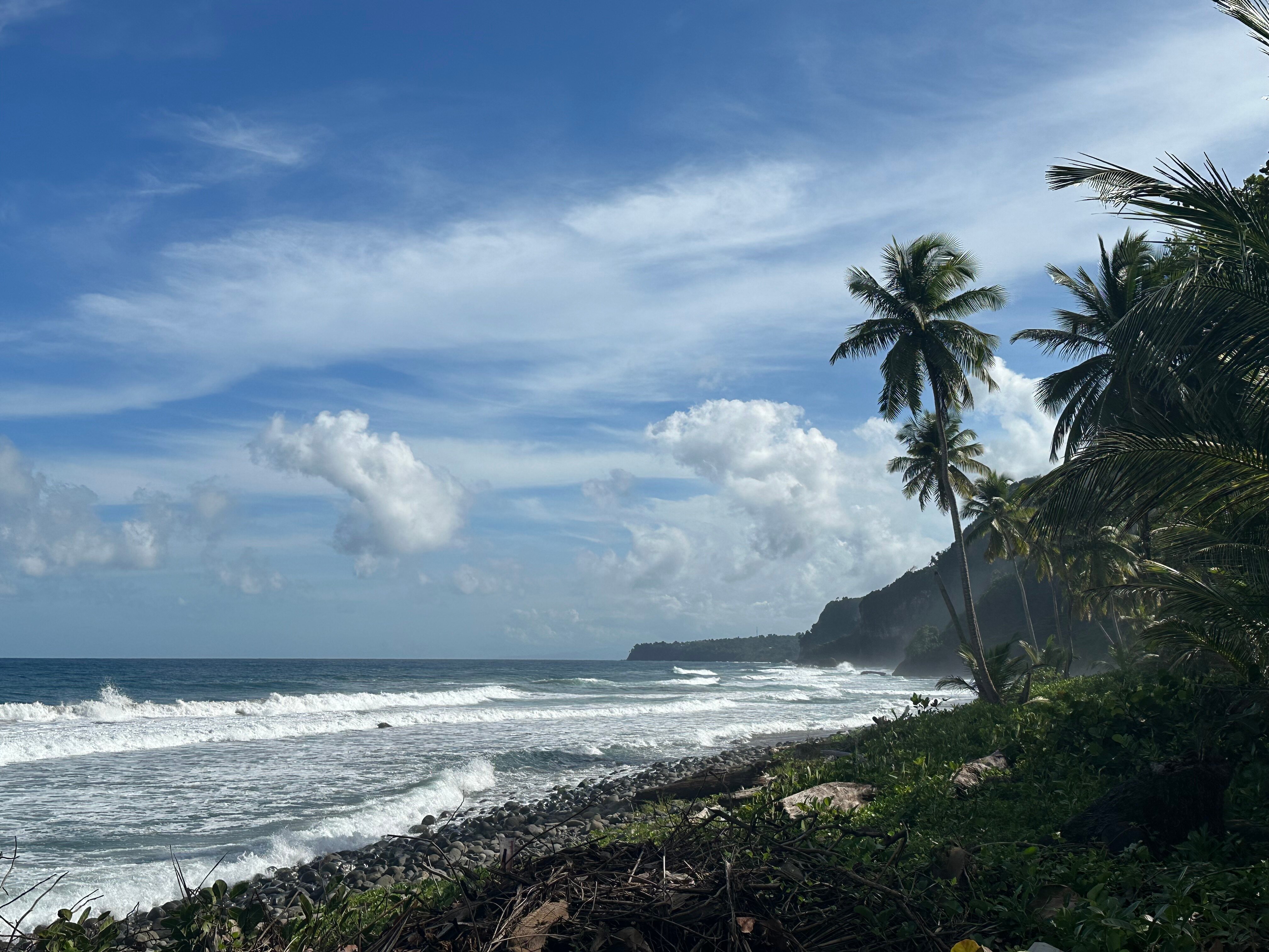 Rosalie Bay Eco Resort & Spa-泳池