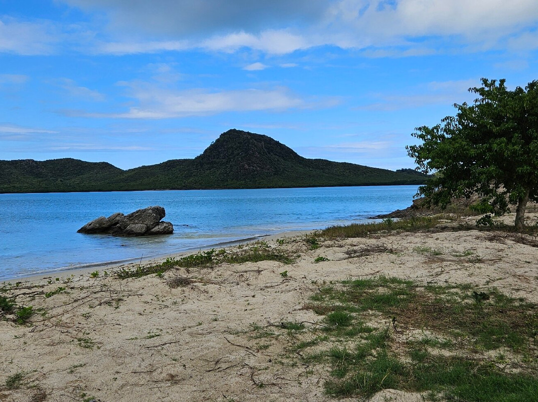268 Buggies-Jennings必去景点