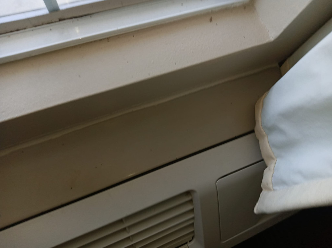 Baymont by Wyndham Waycross主图