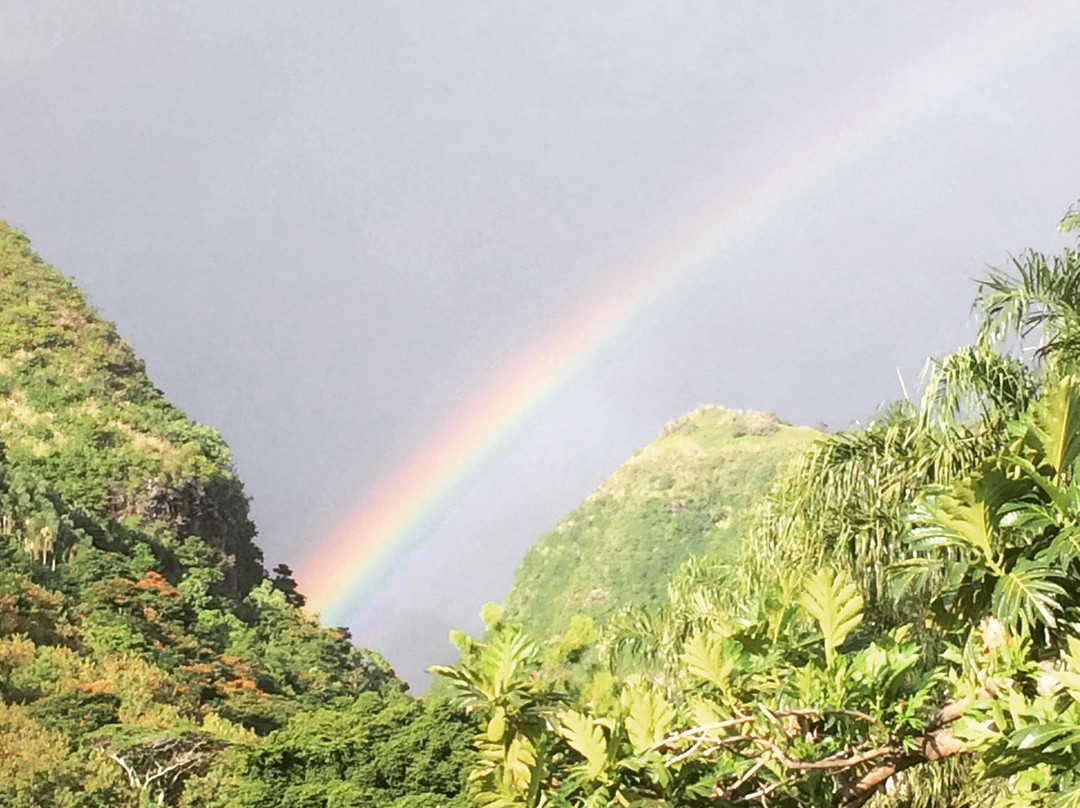 Pension Te Miti主图