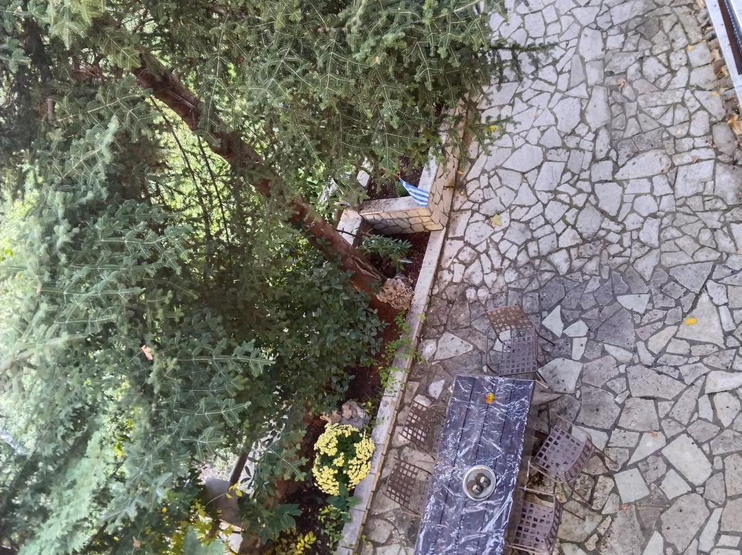 Guesthouse Alexandra主图