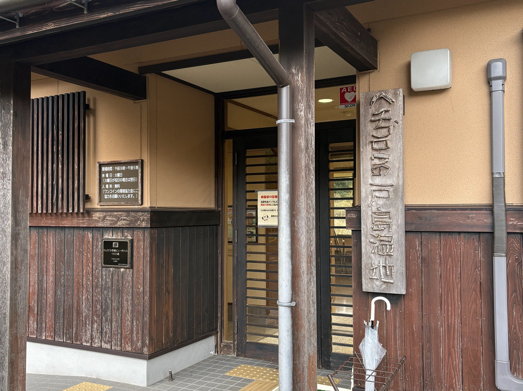 Hachigoro's Tojima Wetland-丰冈市必去景点