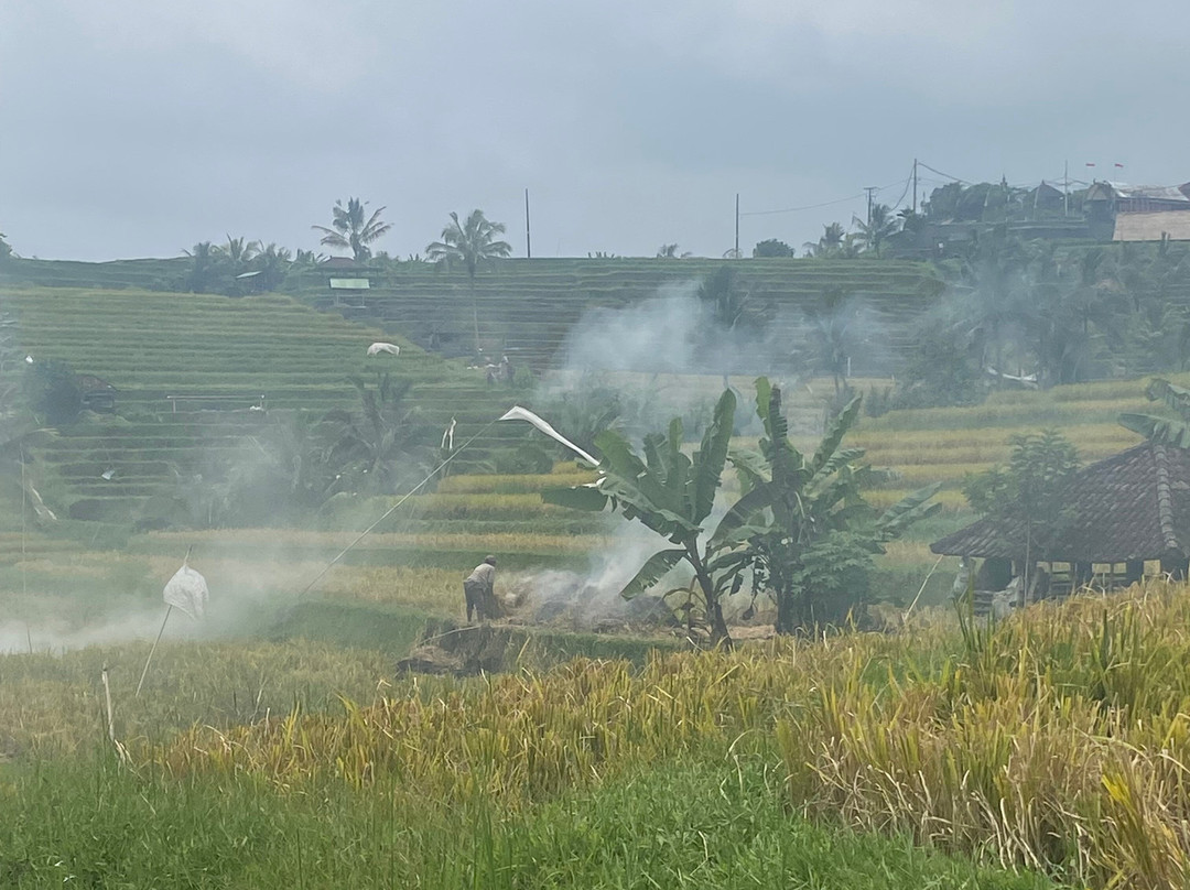 The Haere Seminyak By Astadala主图