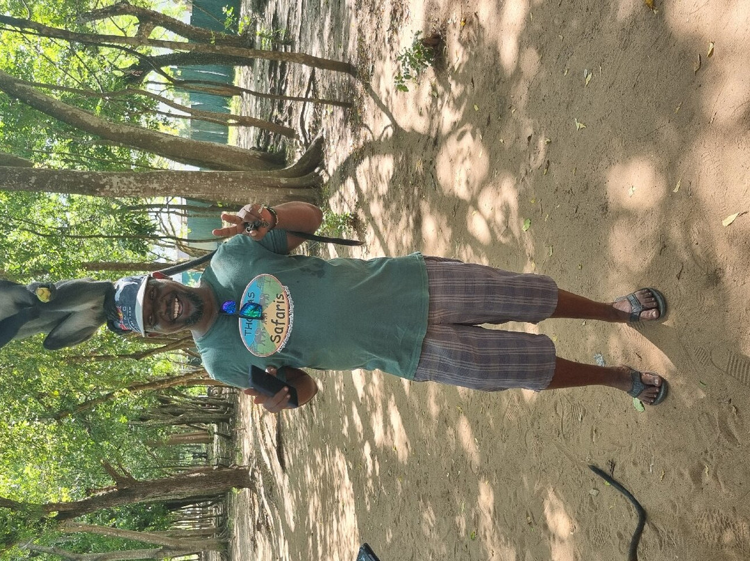 Thomas Tours & Safaris - Private Day Tours-瓦塔木必去景点