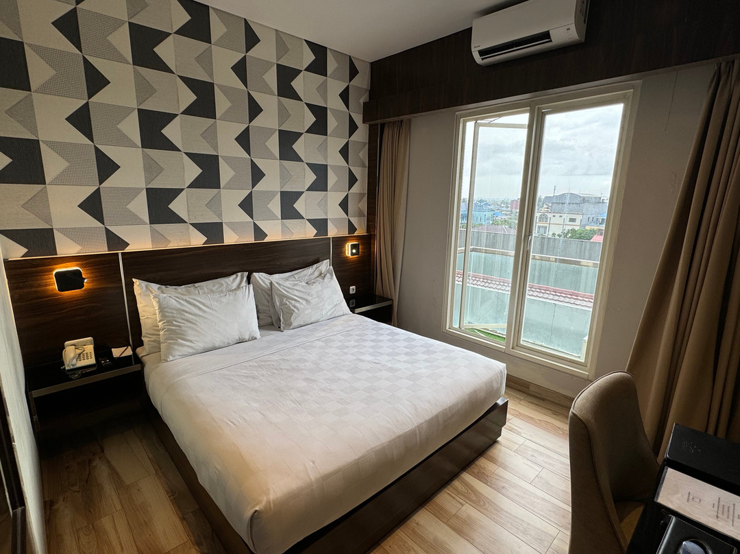 Palmy Exclusive主图