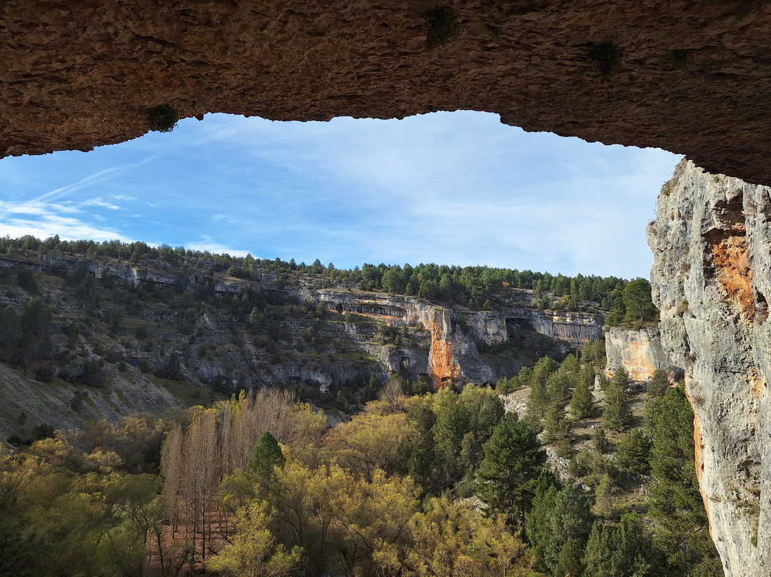 El Nido de Pinares主图
